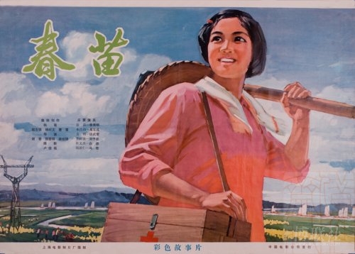 岐阜聖徳学園公共管理文凭证书